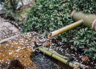﻿Многим владельцам загородных домов приходится создавать собственную систему водоснабжения, ведь не всегда удается п...